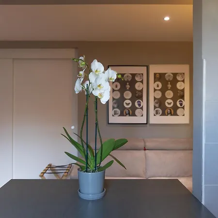 Collegio Di Spagna 13 *